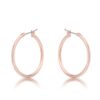 Small Rosegold Hoop Earrings