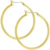 Golden Hoop Earrings