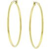 Large Golden Hoop Earrings
