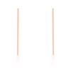 Carolee Rose Gold Stainless Steel Long Line Drop Earrings