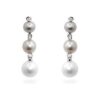 Multicolor Pearl Earrings