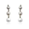 Multicolor Pearl Dangles